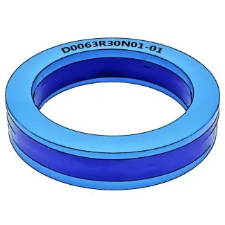D0063R30N01-01
