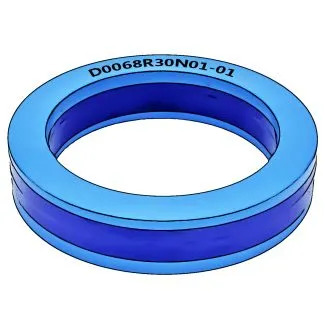 D0068R30N01-01